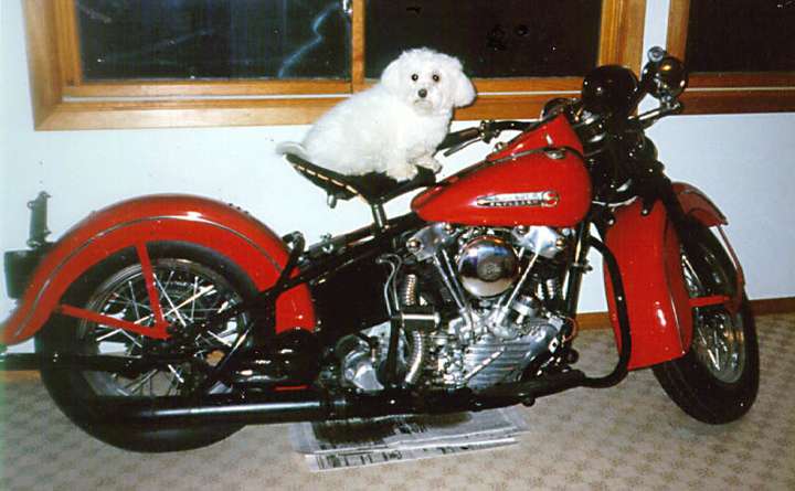 Harley-Davidson Knucklehead #9819804
