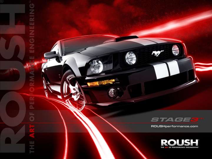 Roush Mustang #9883692