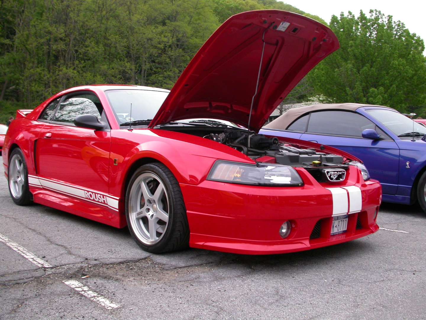 Roush Mustang #9755356