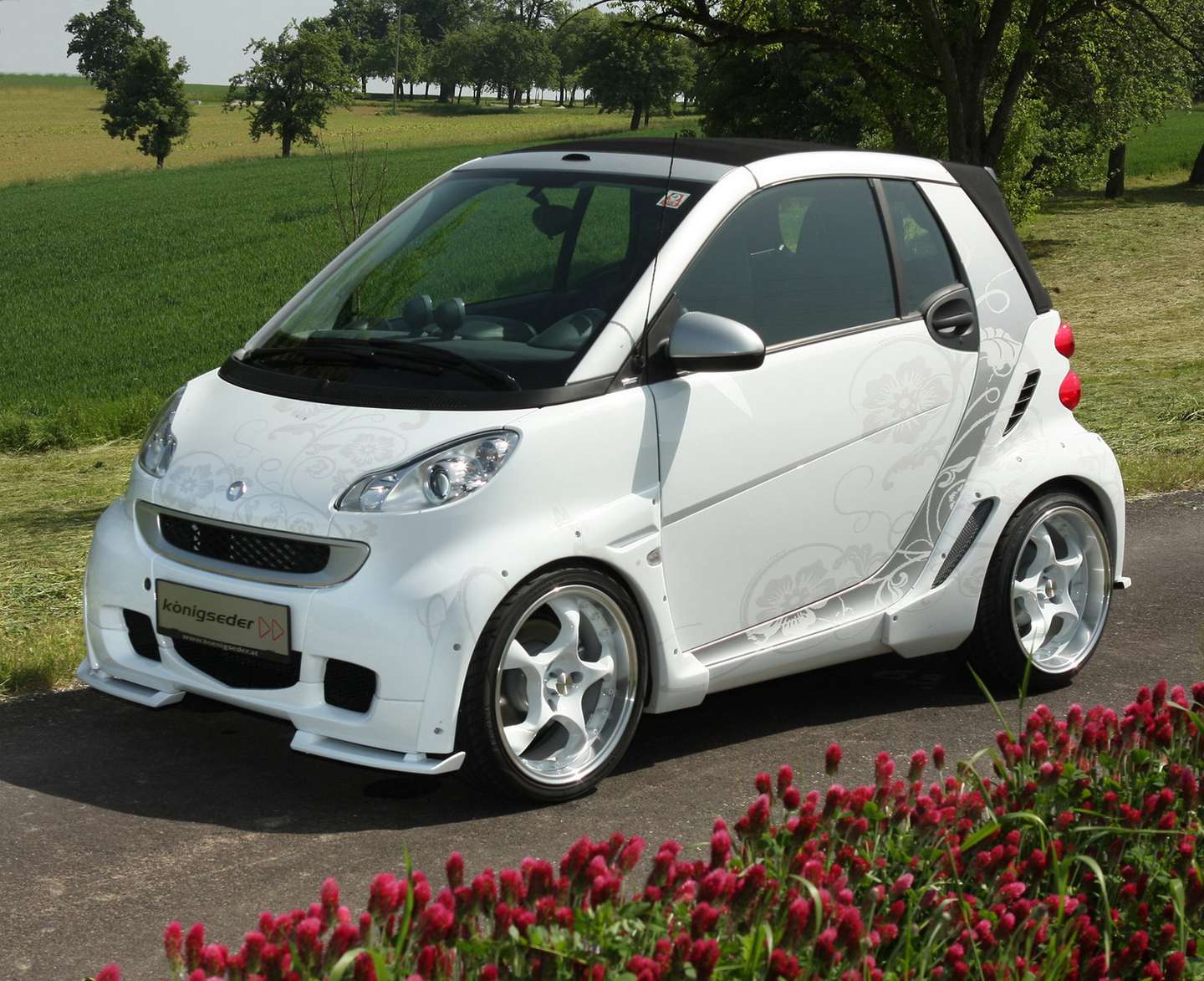 smart Fortwo #9925966
