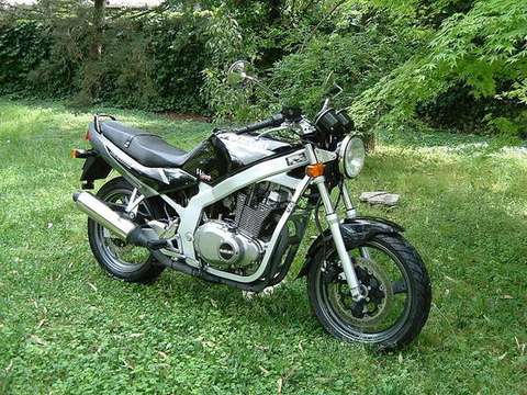 Suzuki GS 500 E #7714454